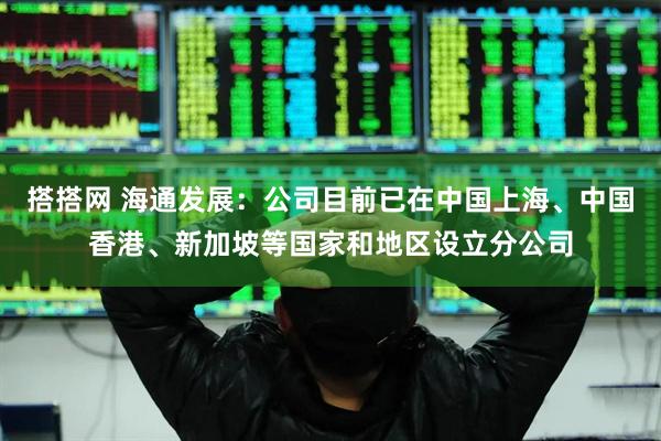 搭搭网 海通发展：公司目前已在中国上海、中国香港、新加坡等国家和地区设立分公司