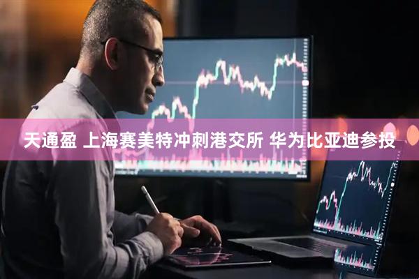 天通盈 上海赛美特冲刺港交所 华为比亚迪参投