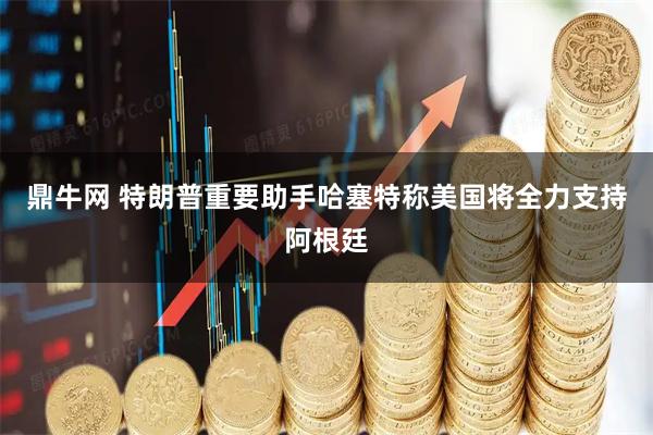 鼎牛网 特朗普重要助手哈塞特称美国将全力支持阿根廷