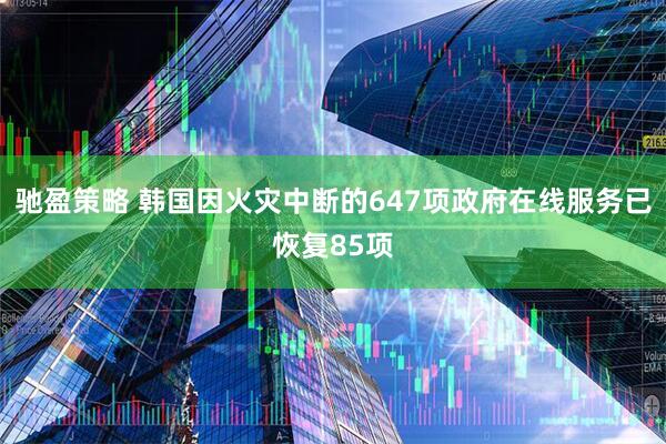 驰盈策略 韩国因火灾中断的647项政府在线服务已恢复85项