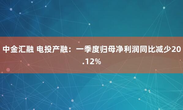 中金汇融 电投产融：一季度归母净利润同比减少20.12%