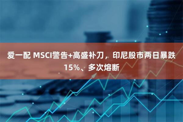 爱一配 MSCI警告+高盛补刀，印尼股市两日暴跌15%、多次熔断